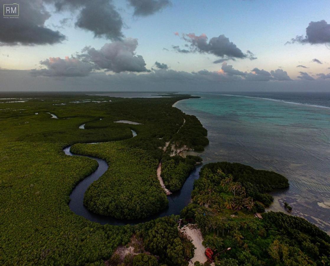 Caribbean Casa Blanca Apartman Xcalak Kültér fotó